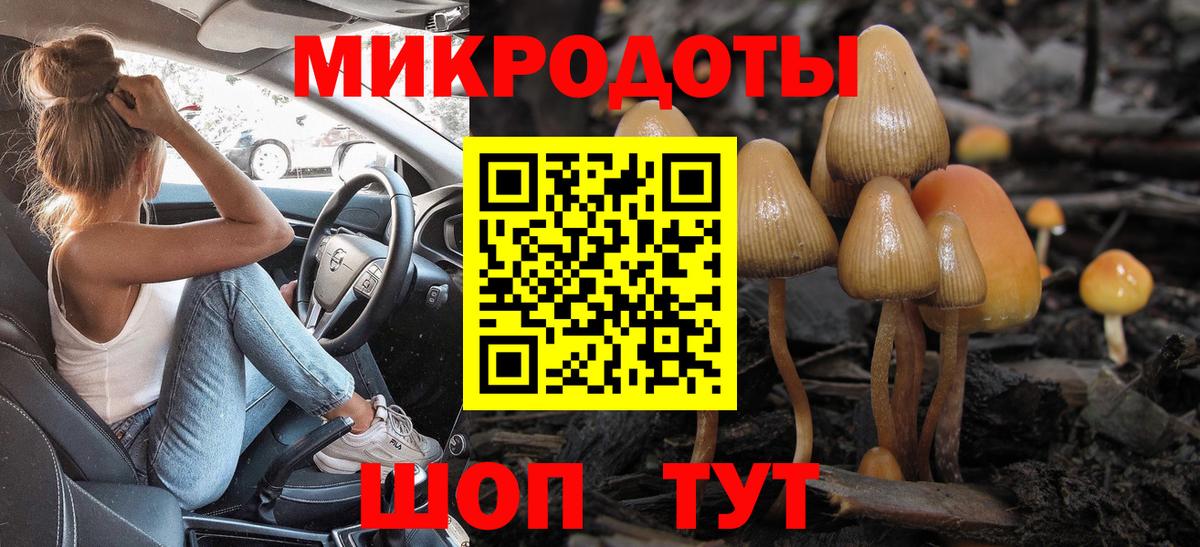 Псилоцибиновые грибы GOLDEN TEACHER  Псилоцибиновые грибы мухоморы  где купить наркотик  Вход с VPN  Орёл 
