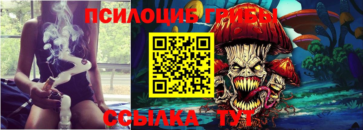 Псилоцибиновые грибы Psilocybe Орёл