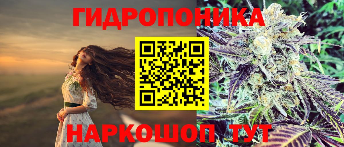 Шишки марихуана Amnesia Орёл